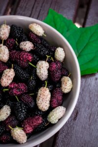 15 Amazing Fruits High in Fiber and Low in Sugar