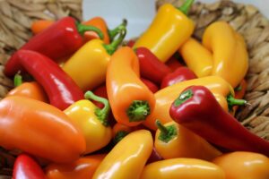 Top 10 Collagen-rich foods for Radiant Health